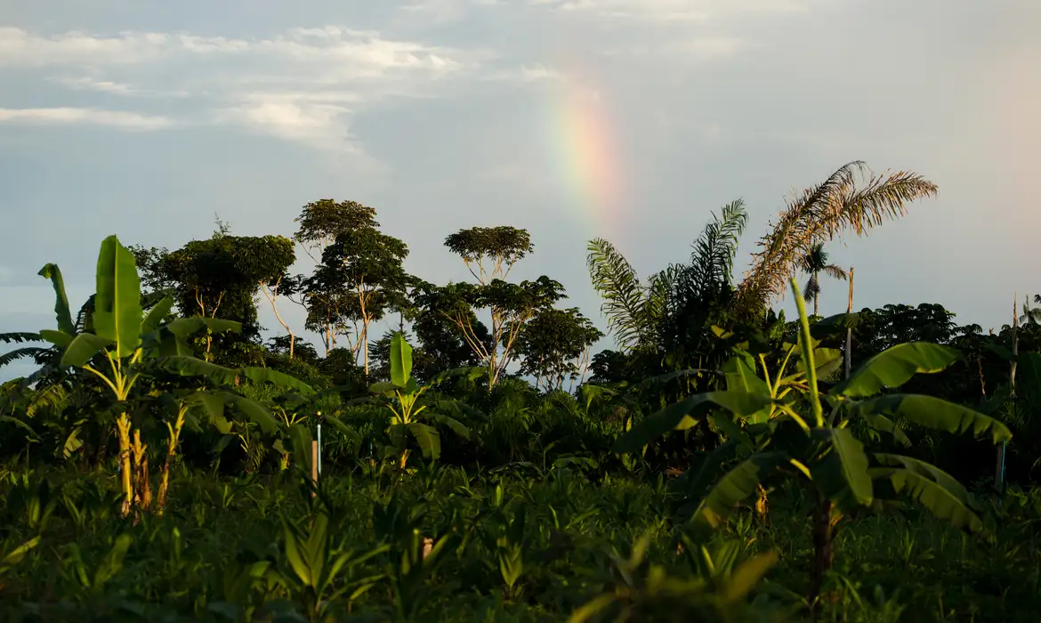 A agroecologia pode mitigar o impacto climático nas culturas