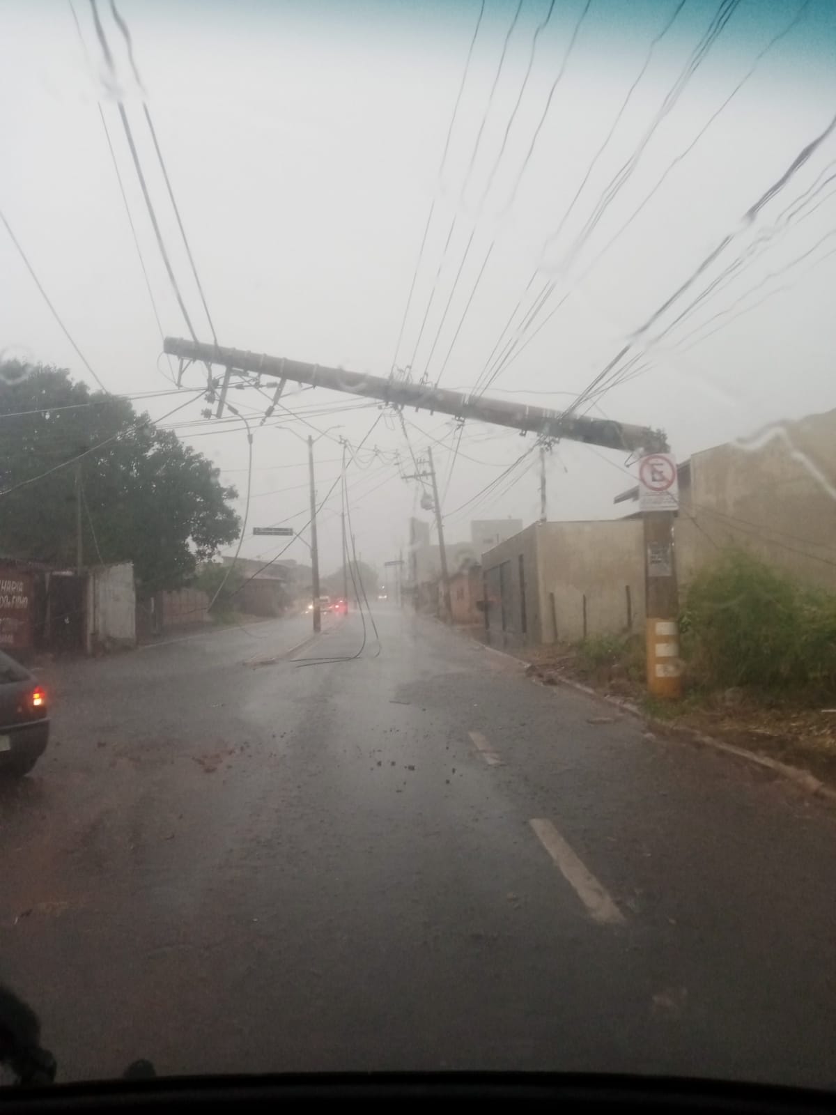 Temporal em Barretos provoca queda de 27  árvores em vários pontos da cidade