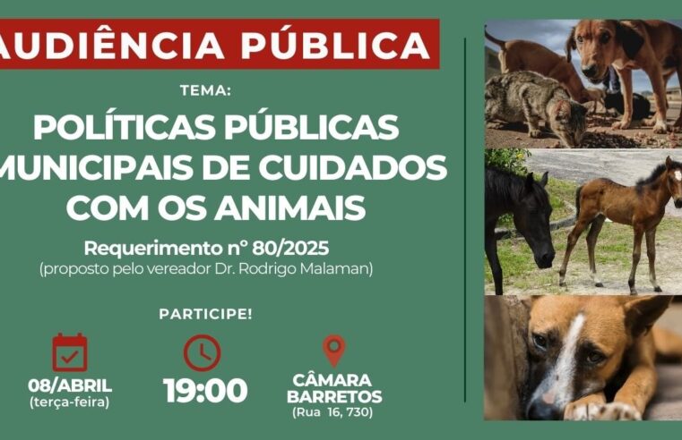 Câmara agenda Audiência Pública para discutir políticas públicas de cuidados com os animais