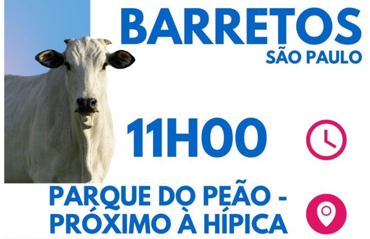 Diretoria do Sindicato Rural divulga leilão Direito de Viver do HA