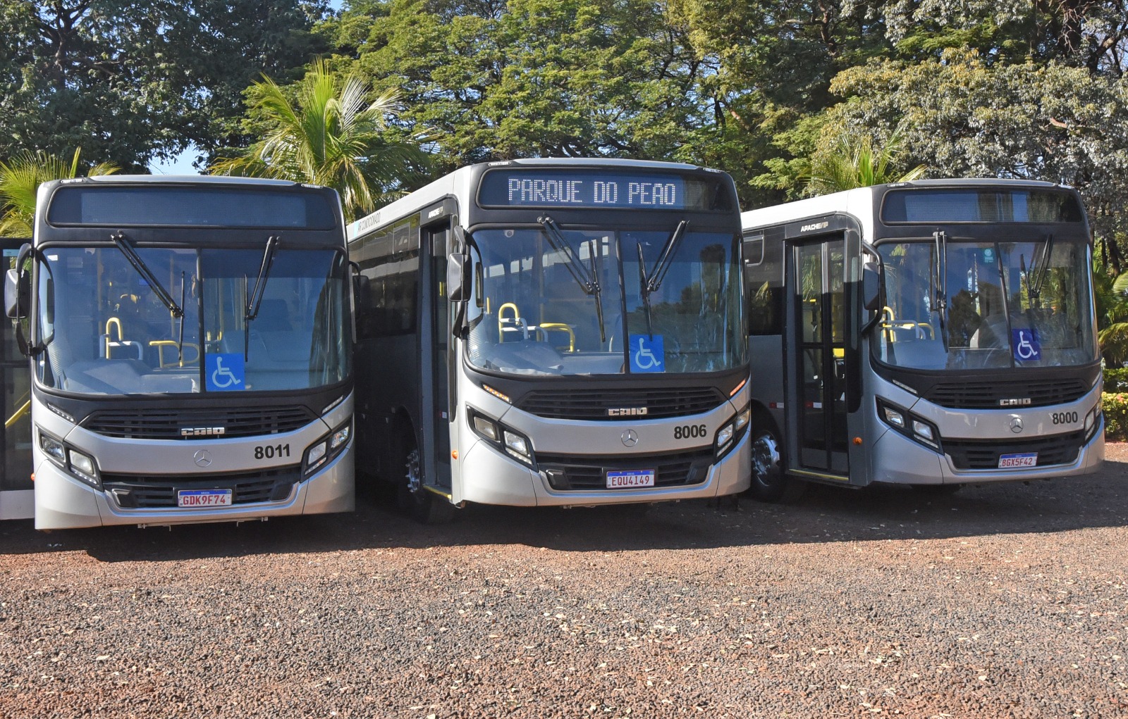 Usuários terão gratuidade no transporte urbano por uma semana