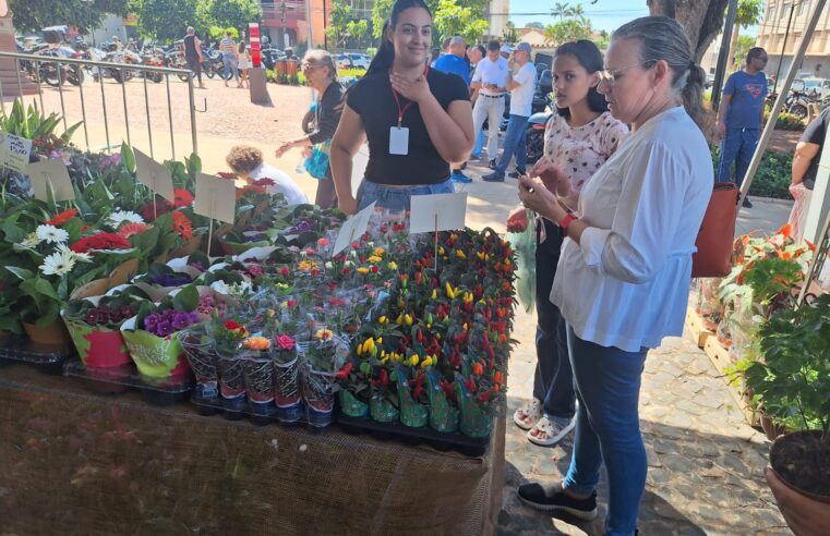 Casa André Luiz realiza Feira de Flores de Holambra