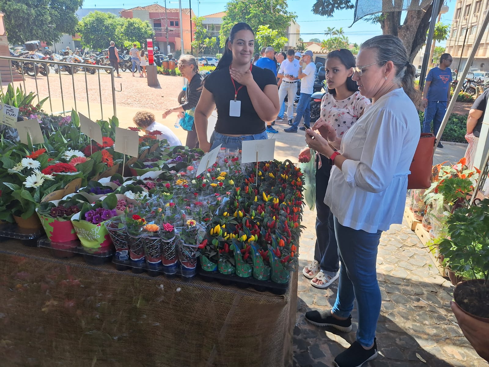Casa André Luiz realiza Feira de Flores de Holambra