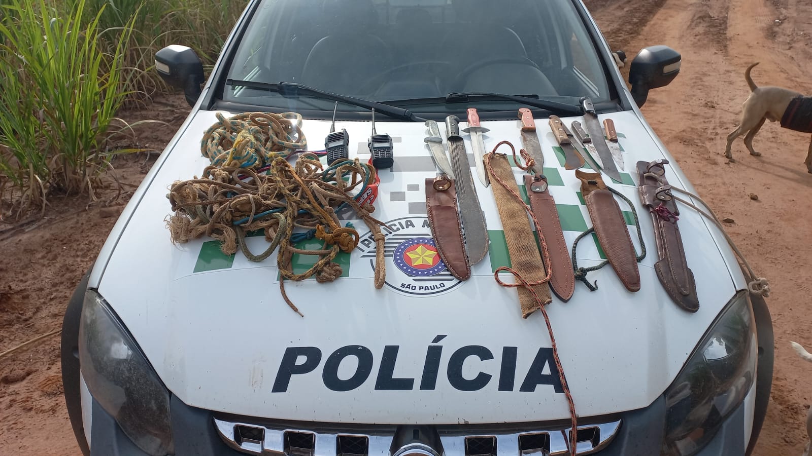 Policia ambiental flagra caçadores em Cajobi