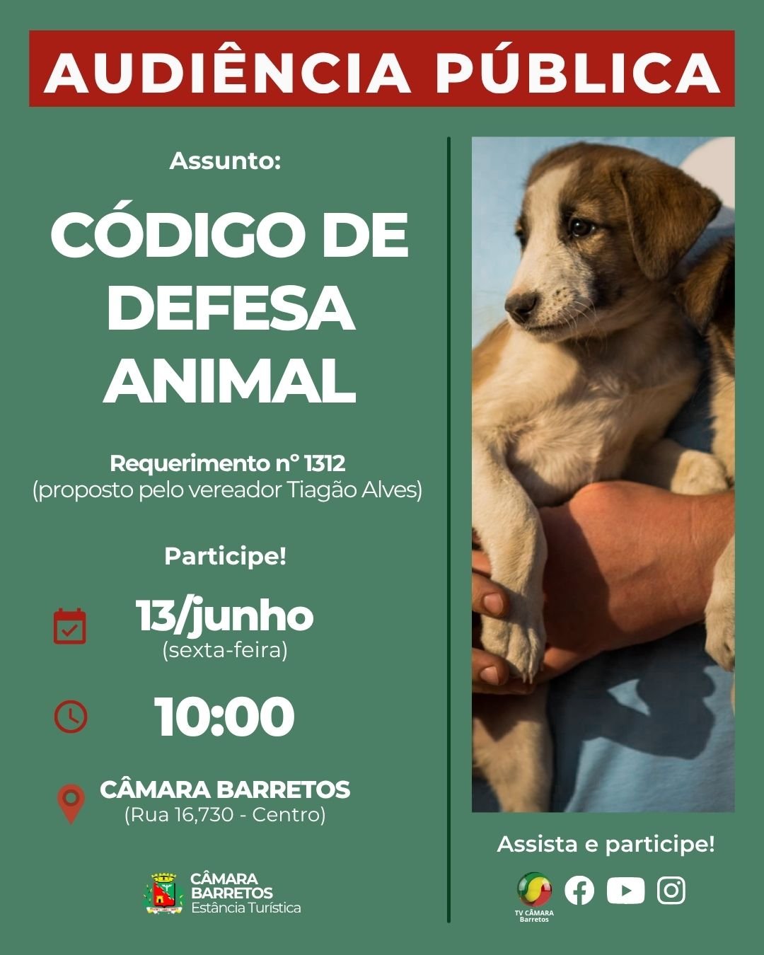Câmara de Barretos agenda Audiência Pública para discutir o novo Código de Defesa Animal