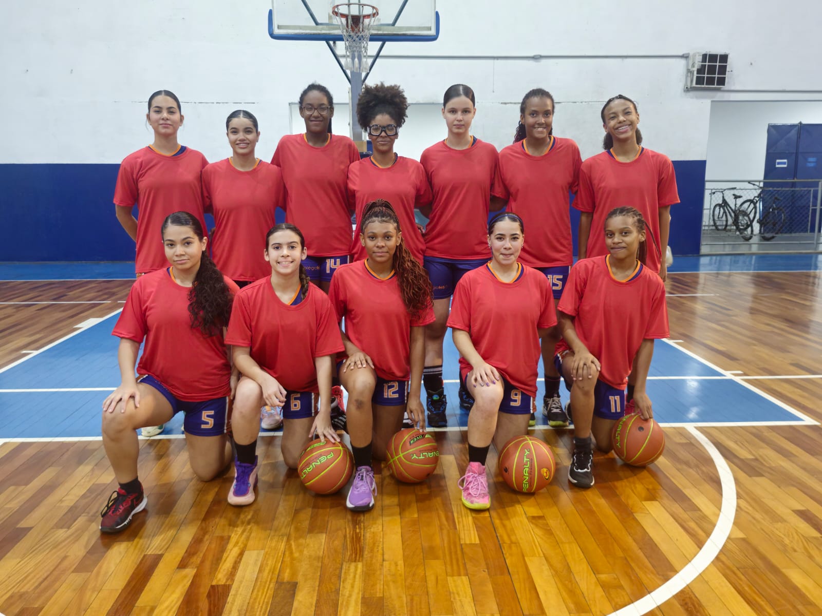 Basquete da APAB enfrenta Guarulhos hoje no CEMEPE América