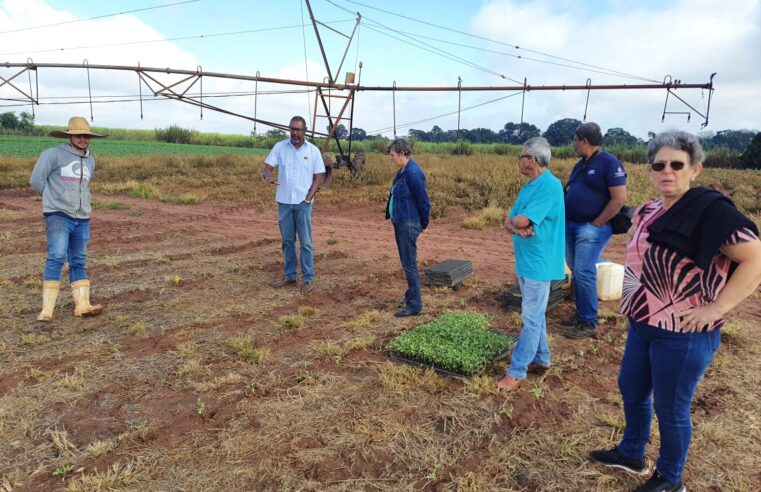 Equipe da CATI visita propriedade que realiza plantio direto de Hortaliças