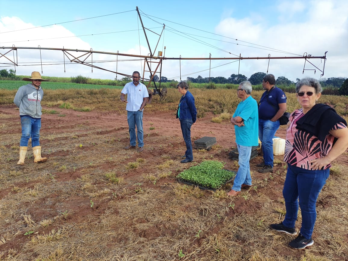 Equipe da CATI visita propriedade que realiza plantio direto de Hortaliças