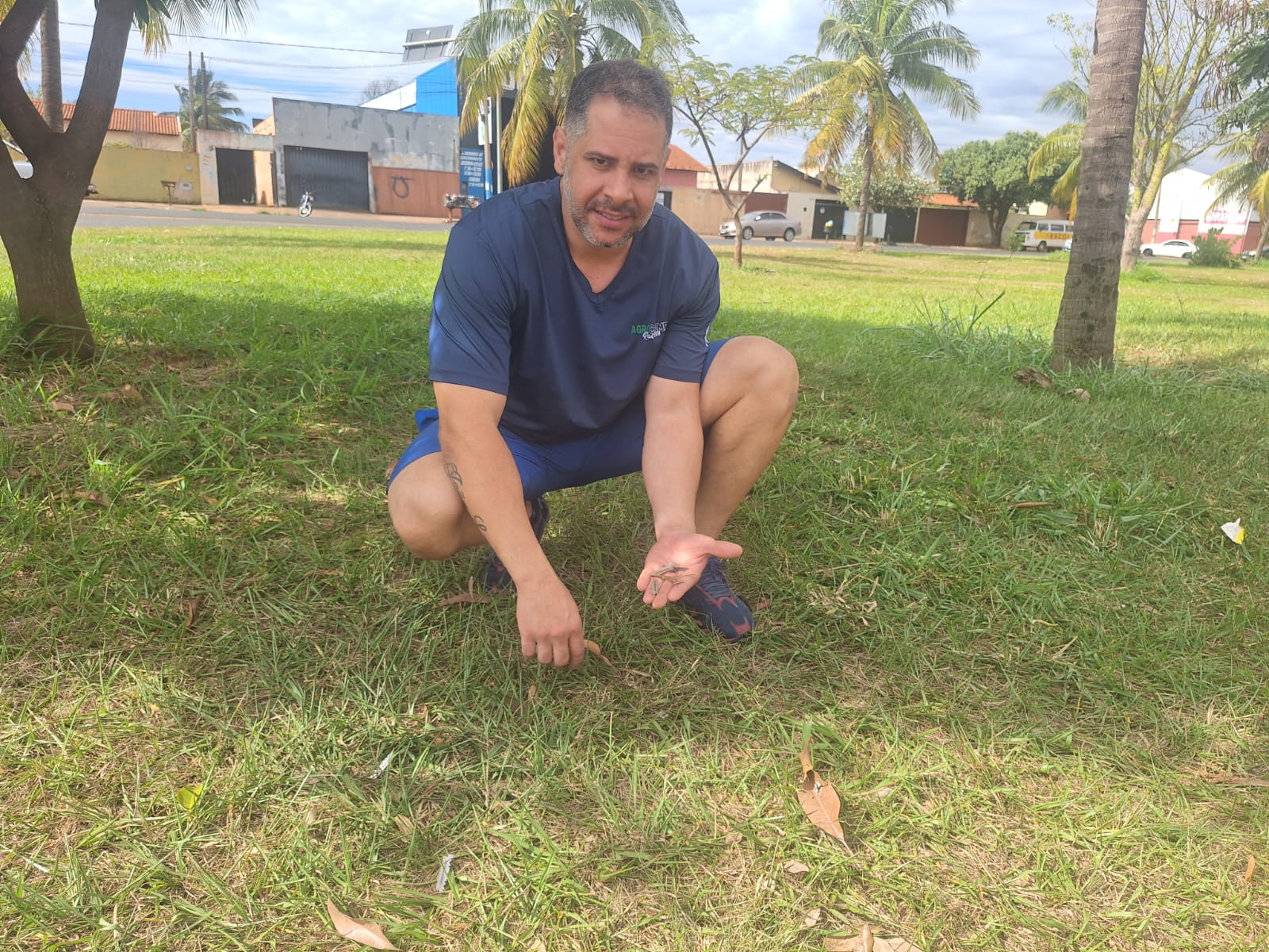 Comerciante demonstra preocupação com uso de lâminas soltura de pipas