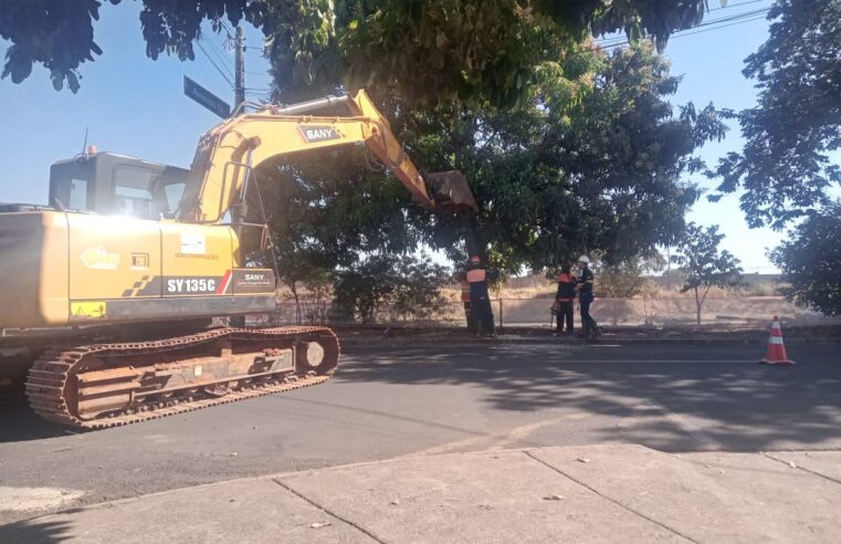 Moradores lamentam corte de cerca 100 árvores e concessionária informa replantio