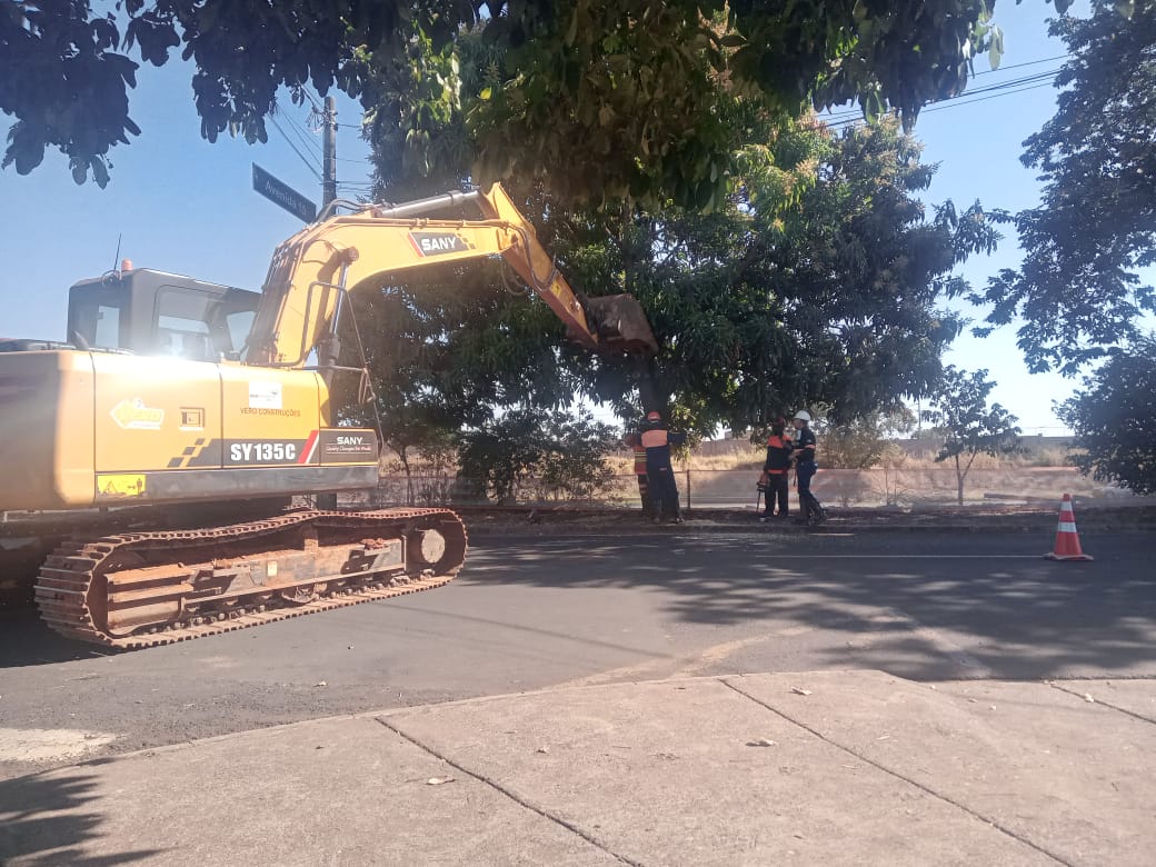 Moradores lamentam corte de cerca 100 árvores e concessionária informa replantio