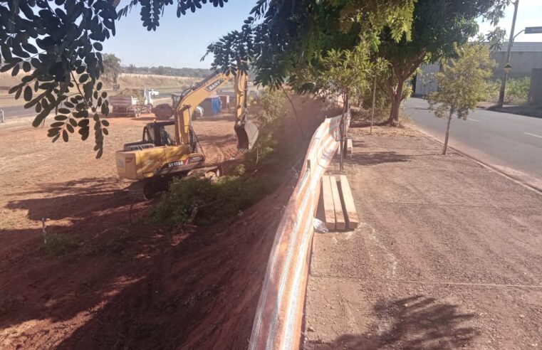 Moradores do América demonstram preocupação com retirada de árvores em obra de concessionária
