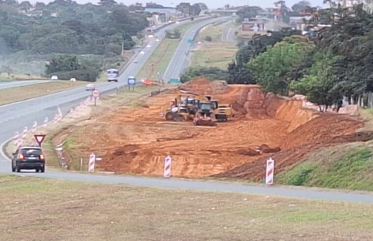 Biólogo defende plano de arborização de Barretos