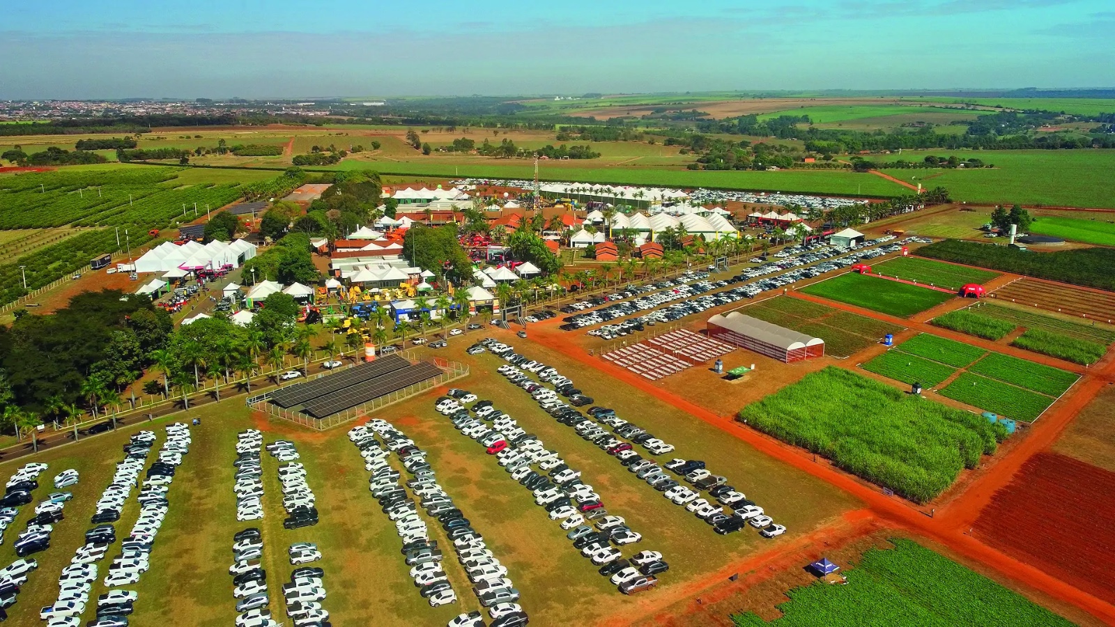 Sebrae-SP marca presença na 26ª Coopercitrus Expo 2025 em Bebedouro
