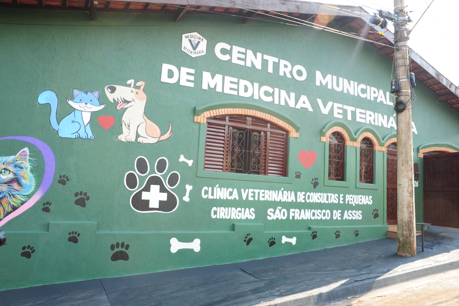 Centro Veterinário orienta população sobre descarte correto de animais domésticos mortos