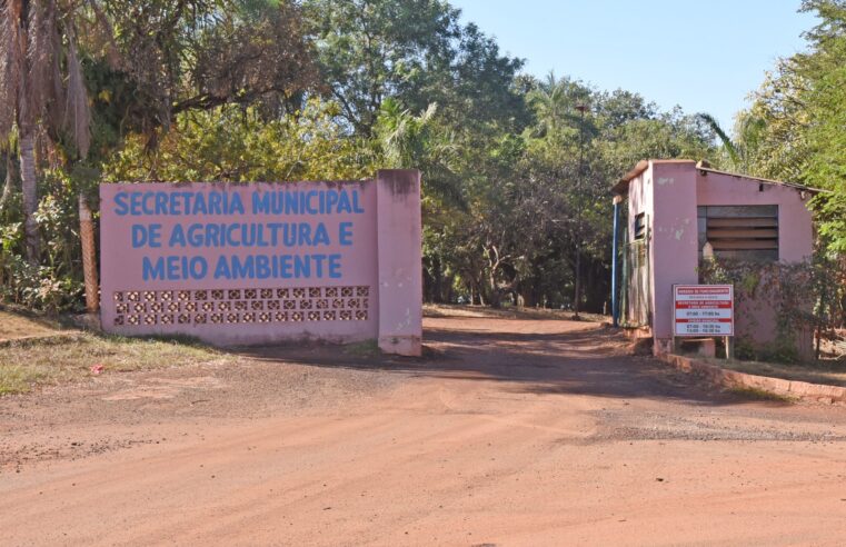 Viveiro Municipal recebe curso de Capacitação em Enxertia