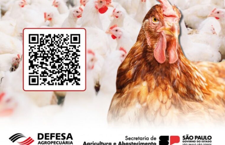Defesa Agropecuária orienta sobre Influenza Aviária