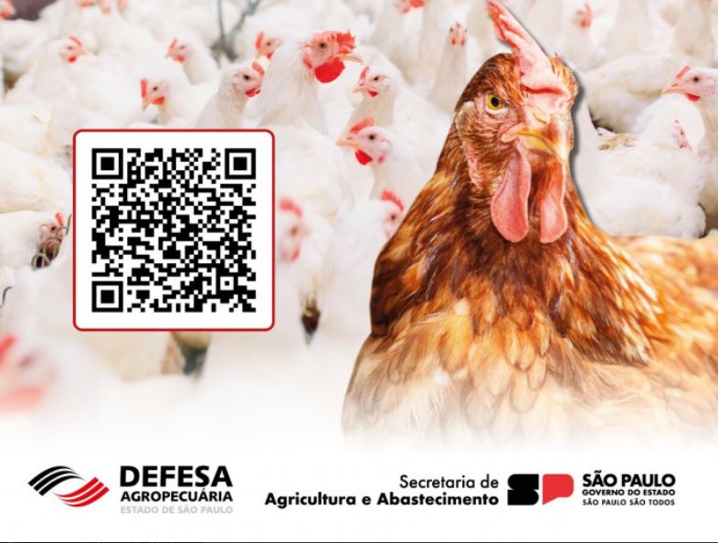 Defesa Agropecuária orienta sobre Influenza Aviária