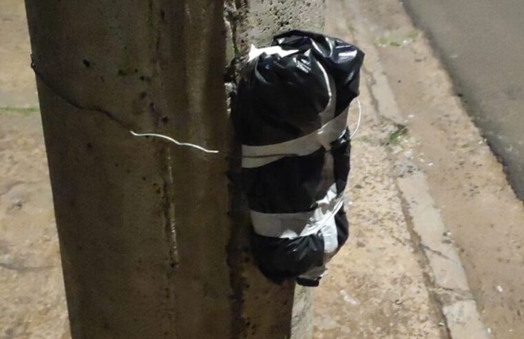 Final Feliz: pacote era caixa para captura de abelhas