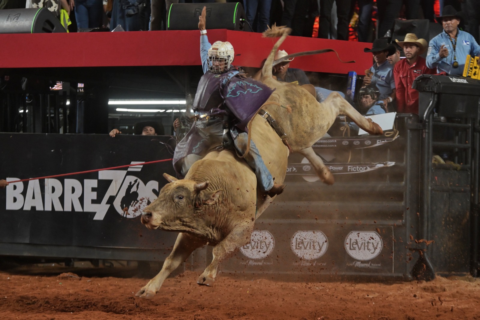 Competidores de Ribeirão Preto e Amparo empatam na primeira noite da final da Liga Nacional de Rodeio