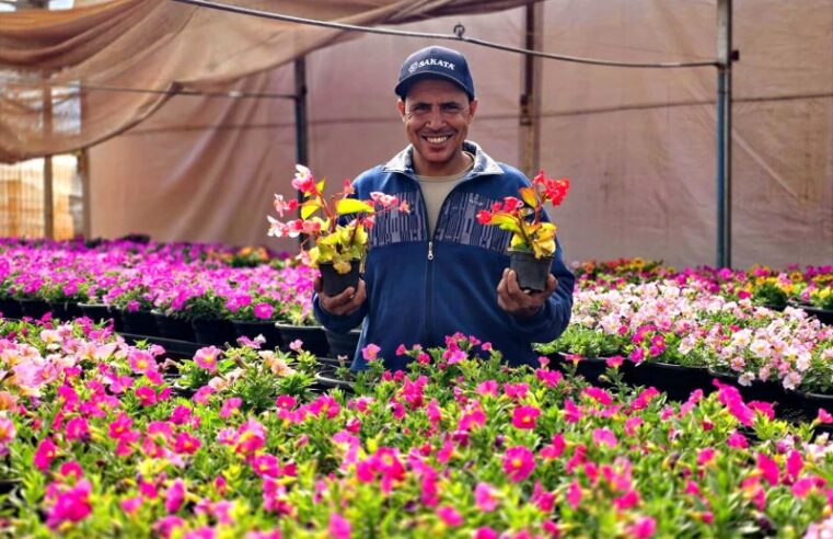 Parque do Peão receberá visitantes com mais de 60 mil flores