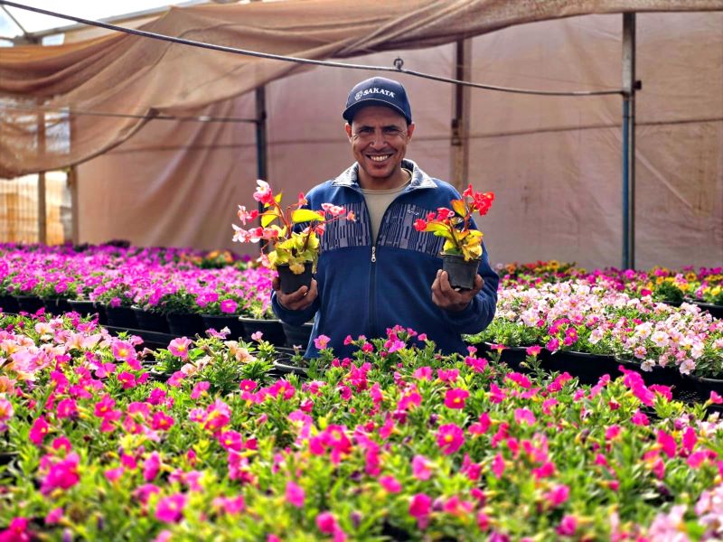 Parque do Peão receberá visitantes com mais de 60 mil flores