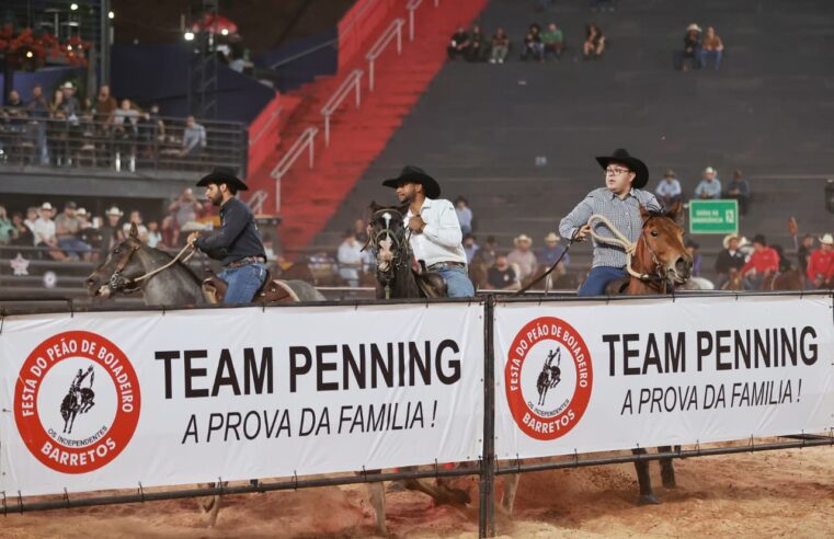 Trios de Minas Gerais garantem vagas na final do Team Penning