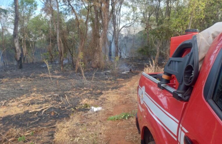 Bombeiros apagam incêndio em mata no Luís Spina