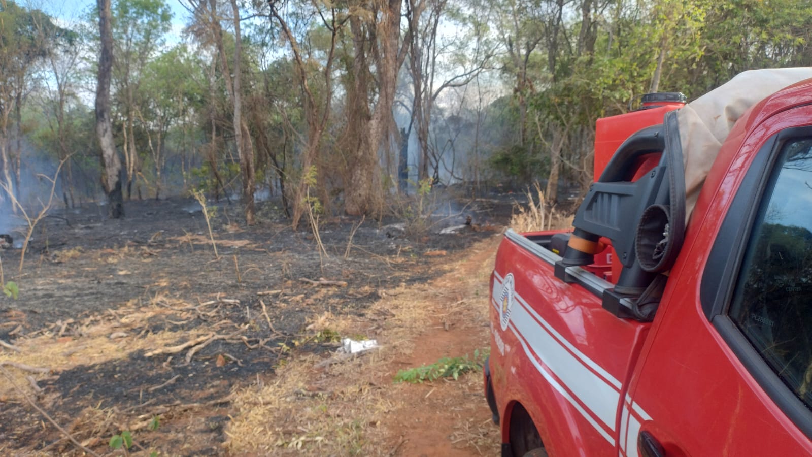 Bombeiros apagam incêndio em mata no Luís Spina