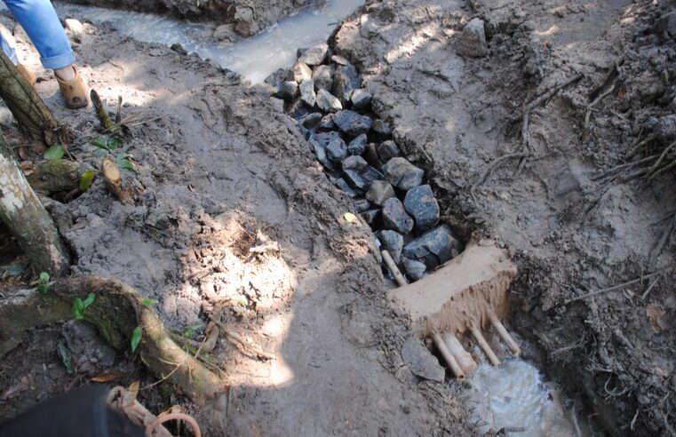 Projeto de recuperação de nascentes será lançado em Barretos