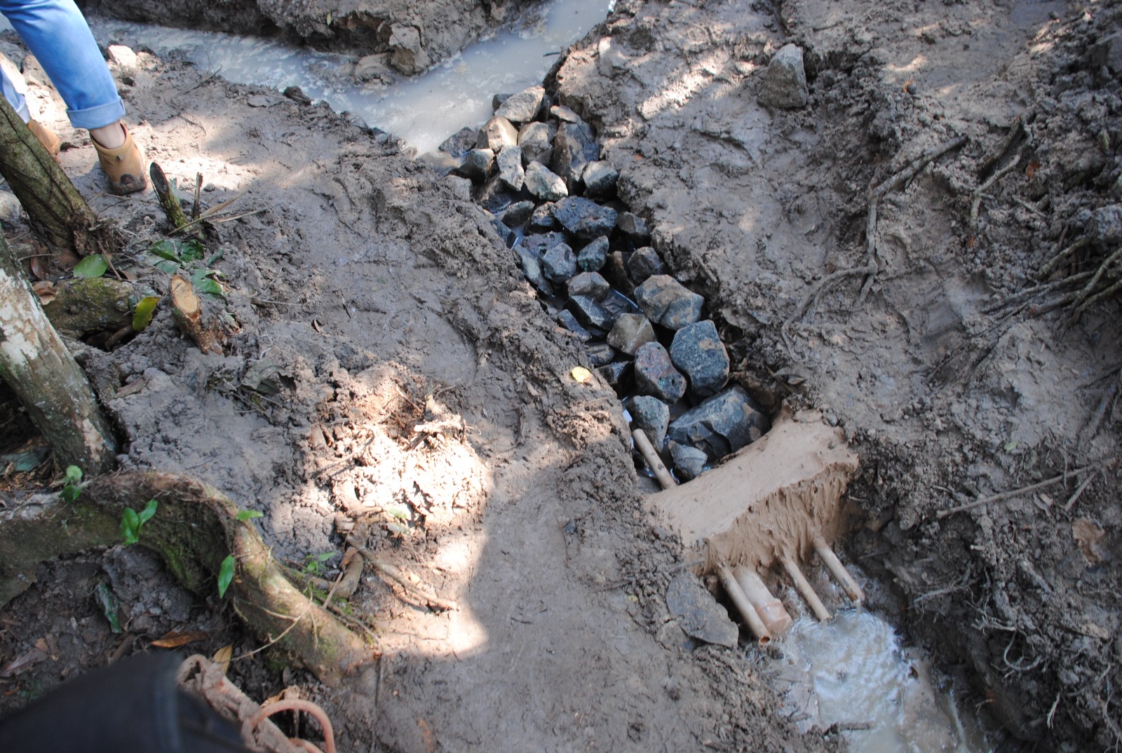 Projeto de recuperação de nascentes será lançado em Barretos
