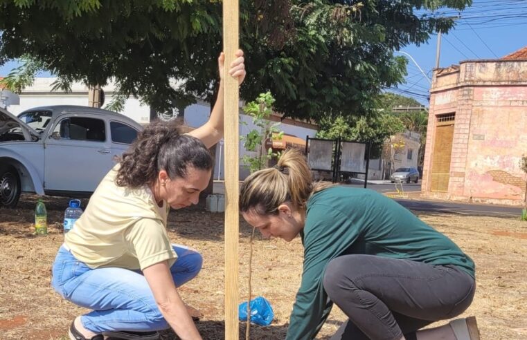 Projeto Vida Mais Verde comemora Dia da Árvore com plantio de mudas