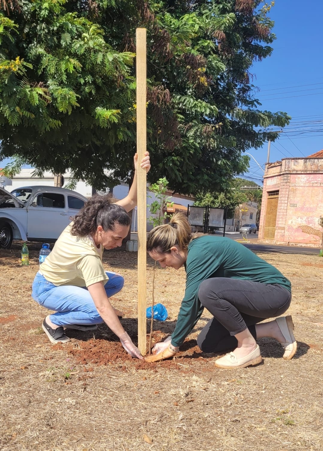 Projeto Vida Mais Verde comemora Dia da Árvore com plantio de mudas