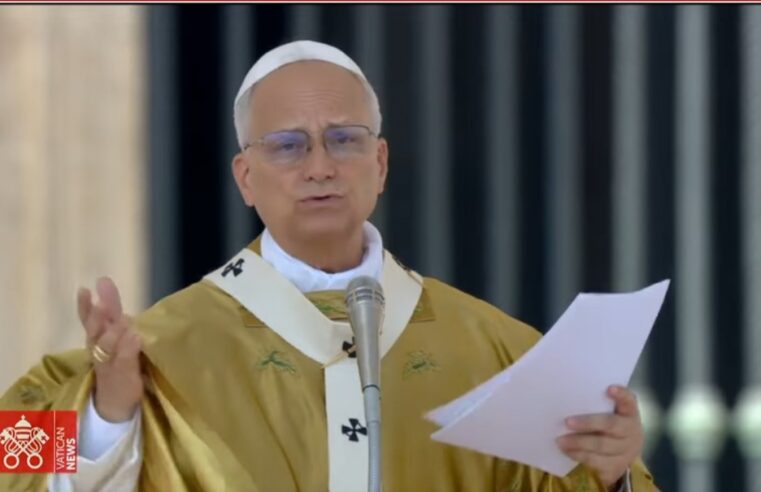 Papa: os santos Frassati e Acutis convidam a não desperdiçar a vida