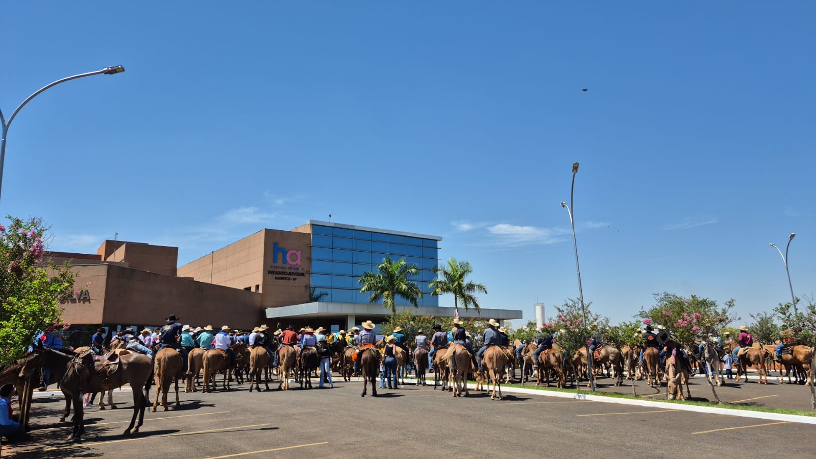 Encontro de Muladeiros termina hoje com várias atrações