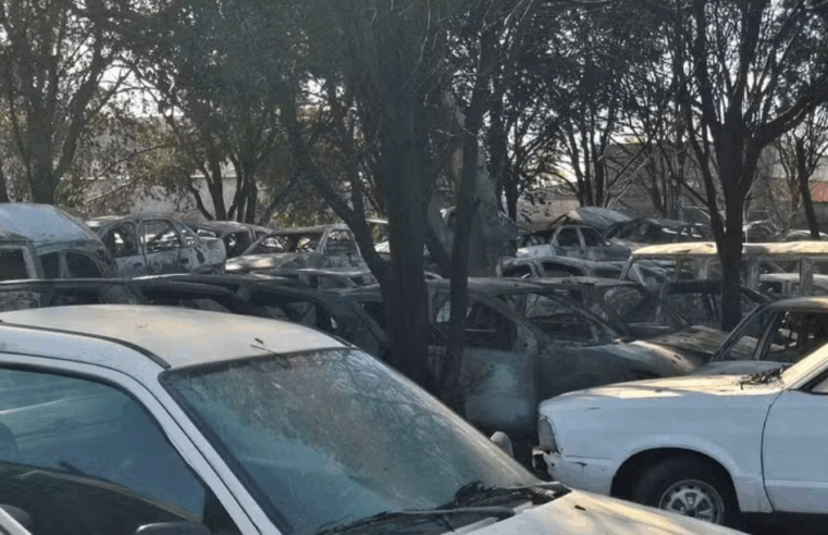 Incêndio em pátio credenciado ao Detran em Jaboticabal destruiu ao menos 300 veículos, estima dono