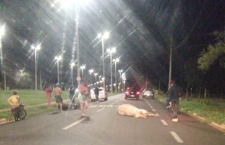 Motociclista é socorrido pelo SAMU após colisão com animal na Via das Nações