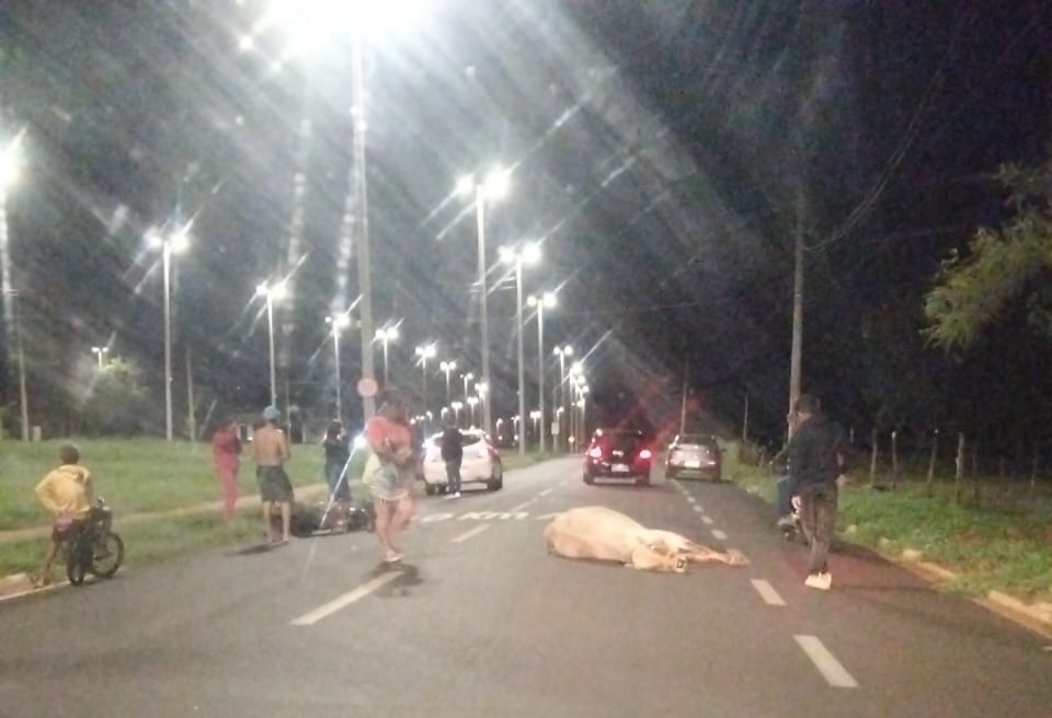 Motociclista é socorrido pelo SAMU após colisão com animal na Via das Nações