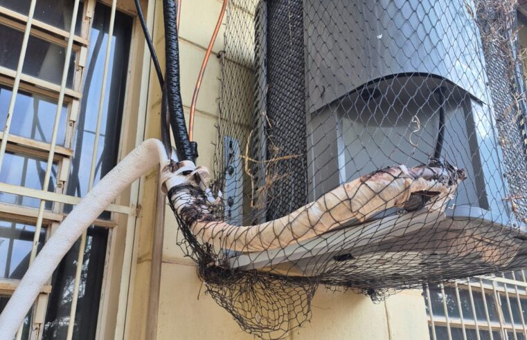 Cemei no bairro Zequinha Amêndola é alvo de furto