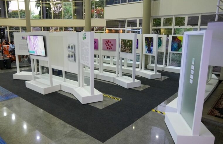 Exposição “Fluxo & Mito” acontece na FACISB até o dia 12 de dezembro