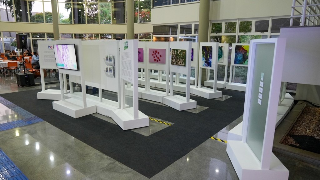 Exposição “Fluxo & Mito” acontece na FACISB até o dia 12 de dezembro