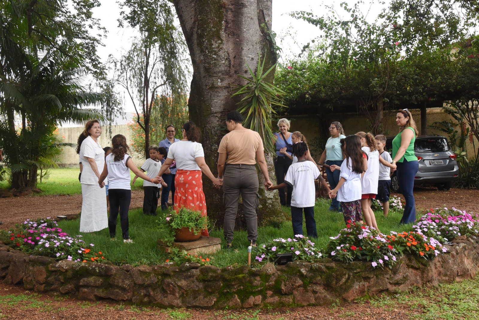 “Abraço ao jatobazeiro” marca lançamento de projeto educativo em Barretos
