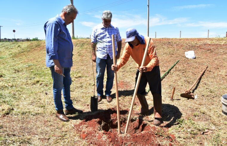 Arborização + Segura: Prefeitura de Barretos inicia plantio de mudas em parceria com a CPFL