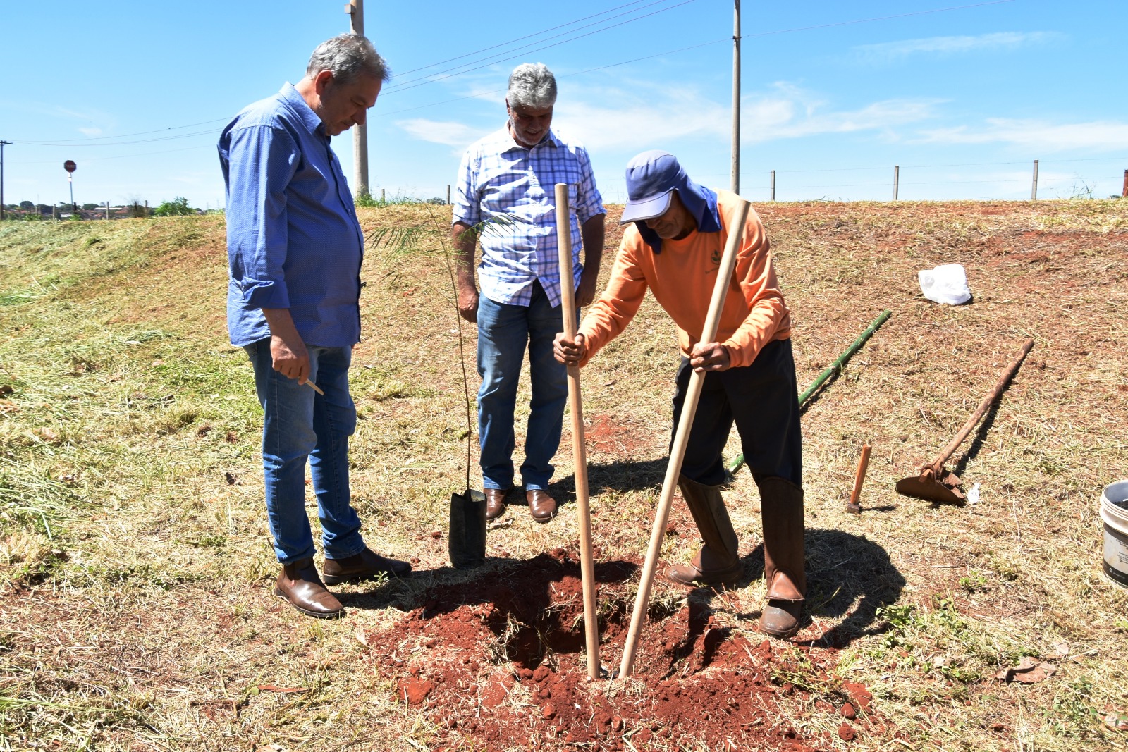 Arborização + Segura: Prefeitura de Barretos inicia plantio de mudas em parceria com a CPFL
