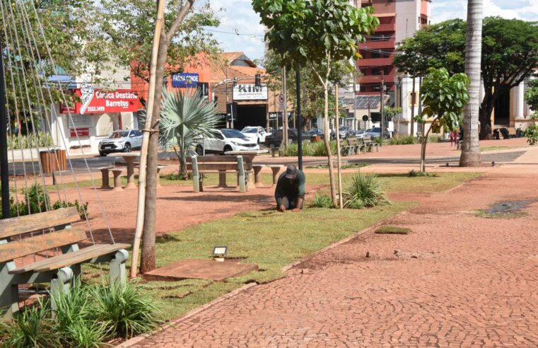 Prefeitura planta mais de 2 mil² de grama na Praça Francisco Barreto