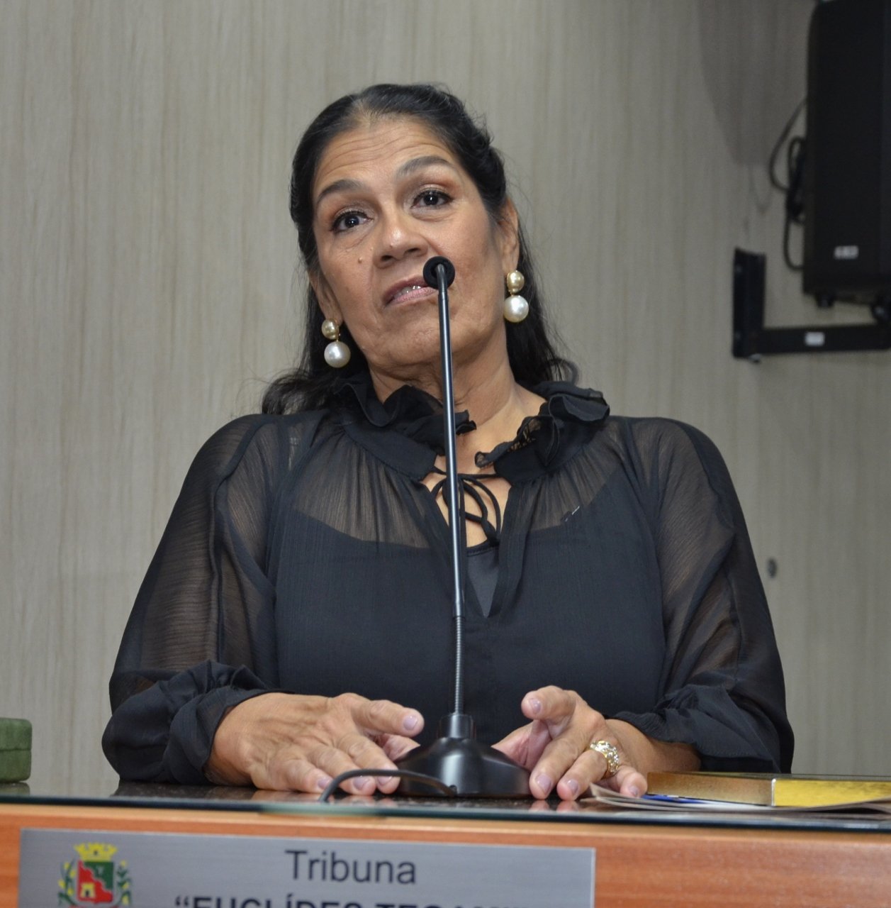 Voluntária do Lar Temporário  orienta população  para evitar soltura de fogos de artifício