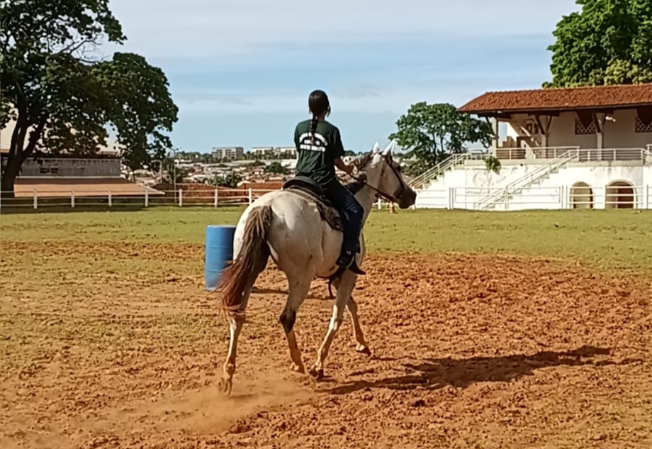 Centro de Formação Equestre oferece aulas gratuitas no Recinto 