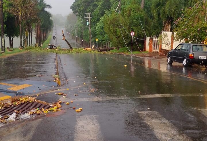 Chuva provoca interdição de via em Colina