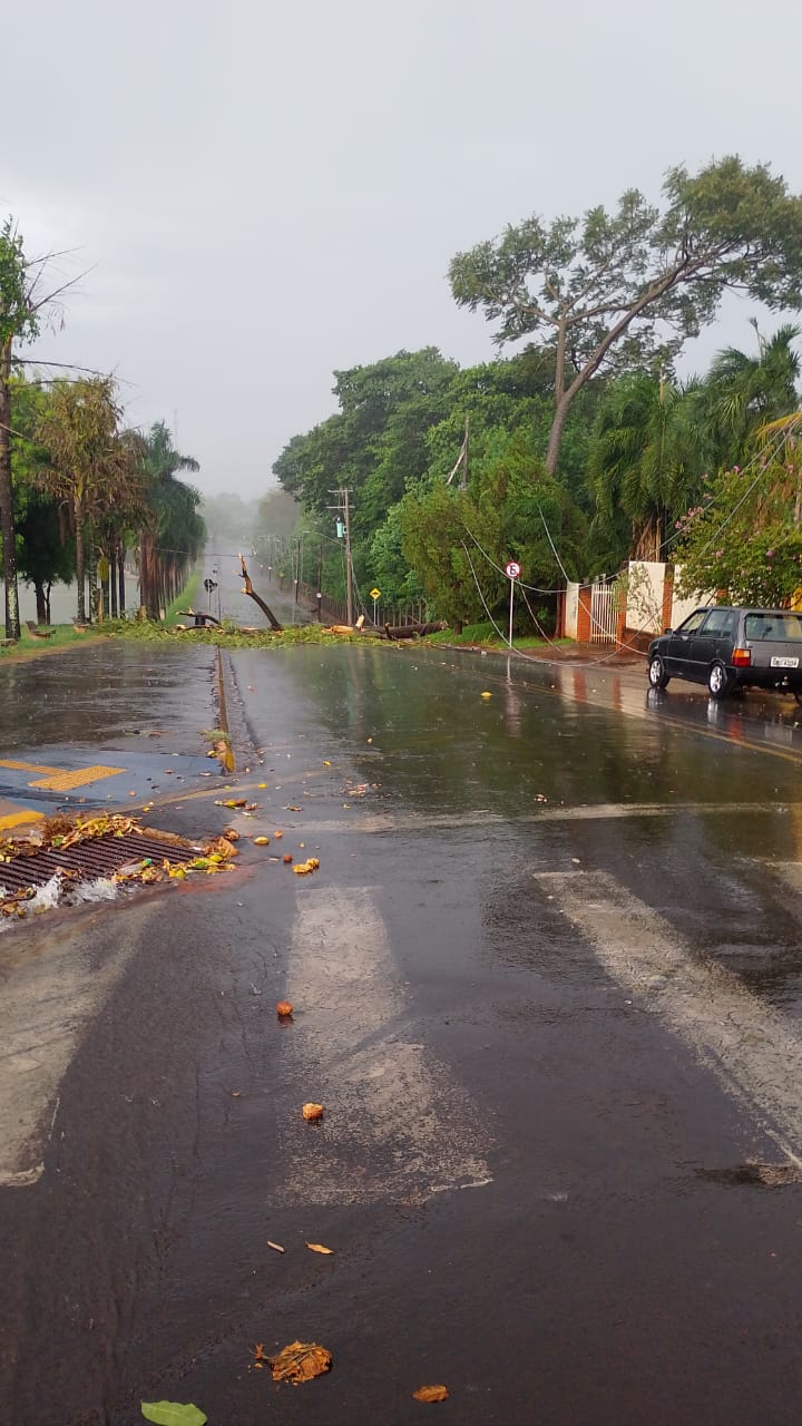 Chuva provoca interdição de via em Colina