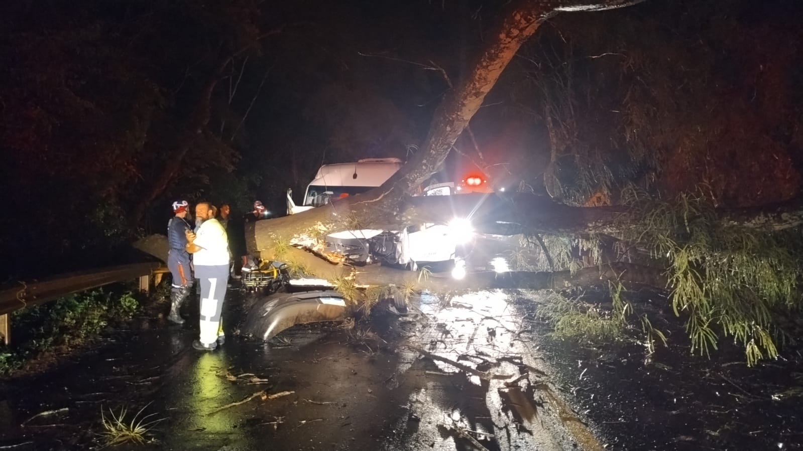 Van colide contra árvore e deixa feridos na Assis Chateaubriand